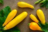 Yellow squash on a brown surface